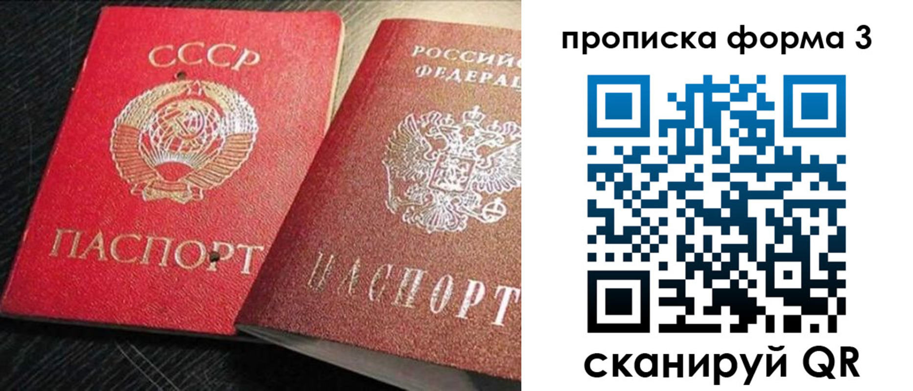 временная регистрация поиск в Смоленской области